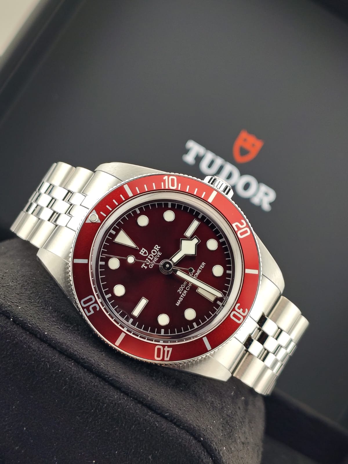 Tudor Black Bay 58 / M7939A1A0RU-0001