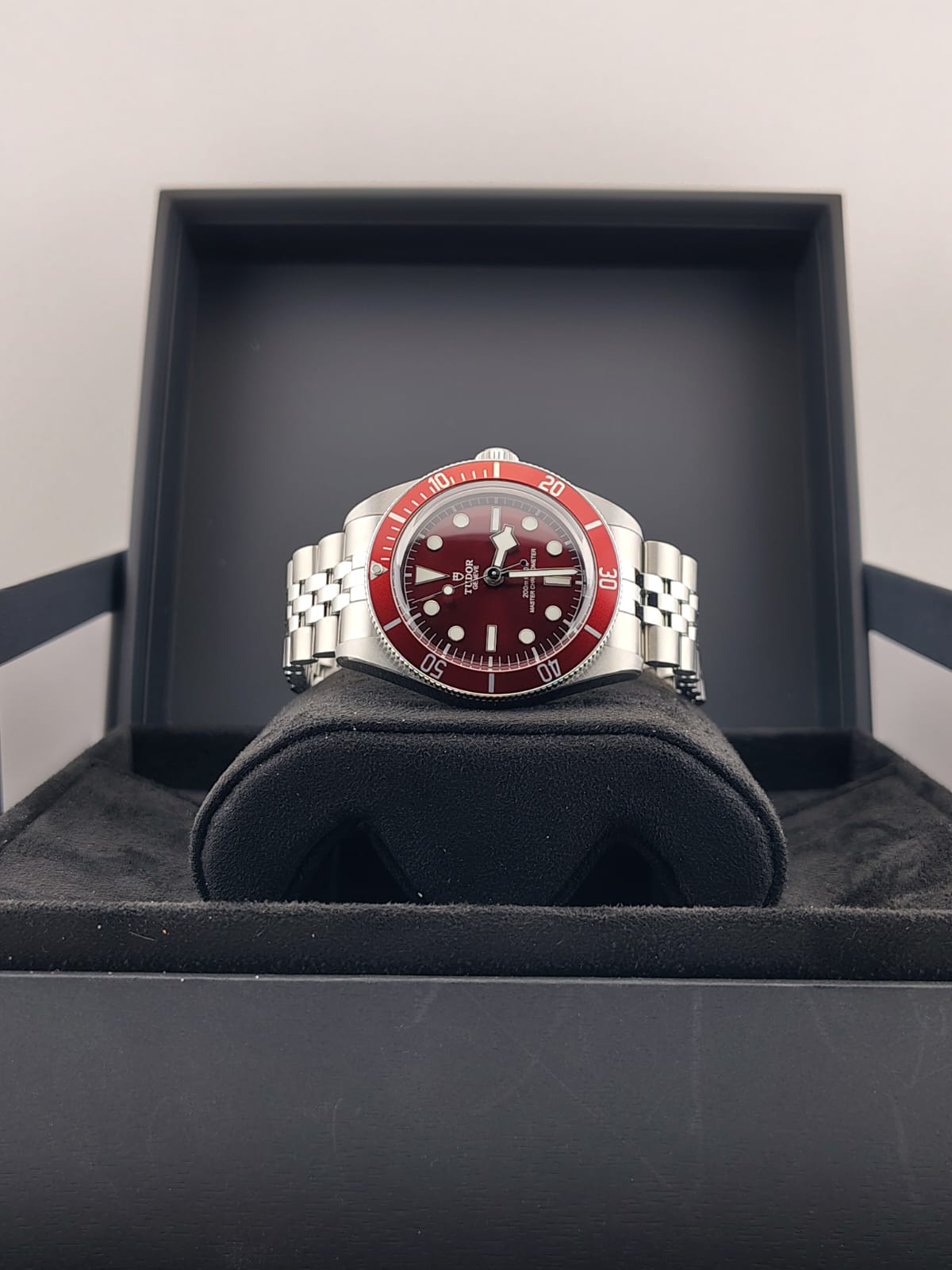 Tudor Black Bay 58 / M7939A1A0RU-0001